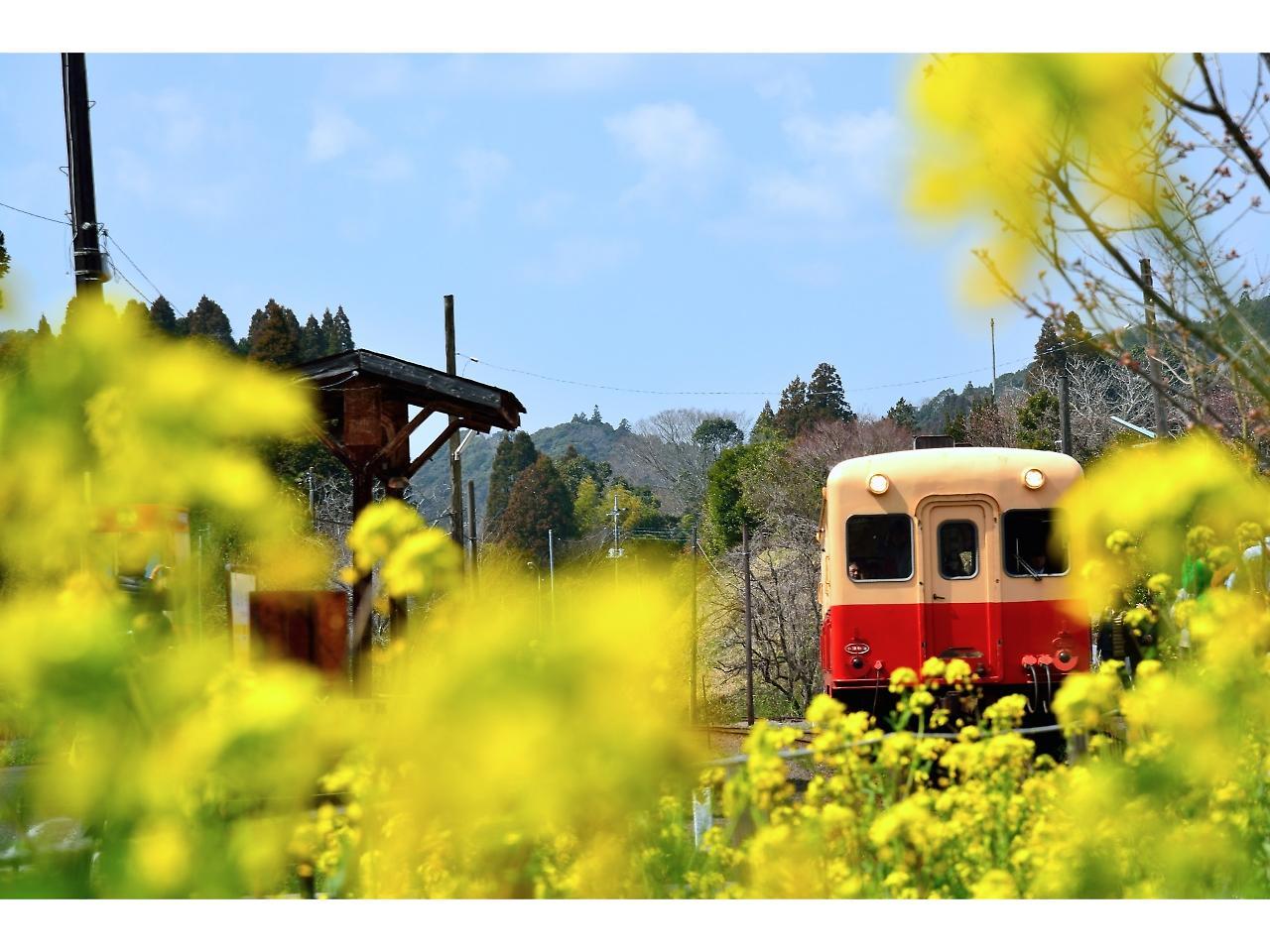 Goi Grand Hotel Ichihara Luaran gambar