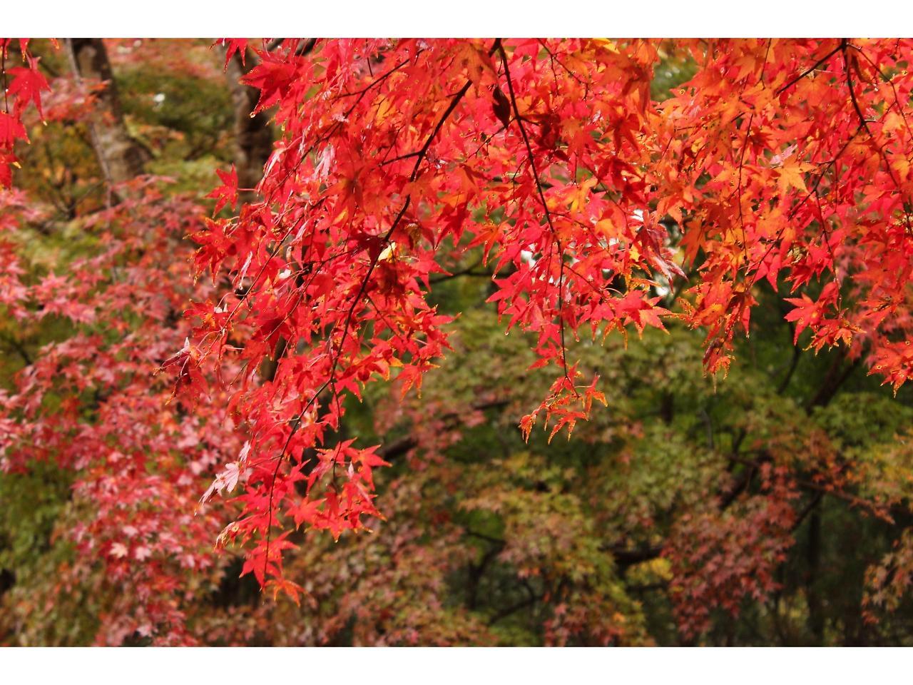 Goi Grand Hotel Ichihara Luaran gambar